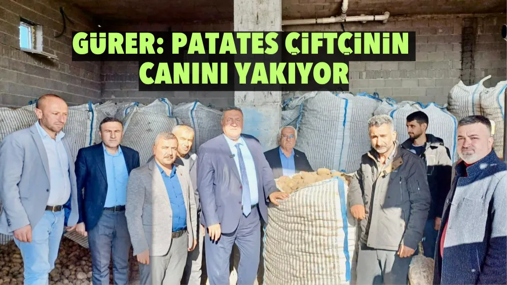 Gürer: Patates Çiftçinin Canını Yakıyor