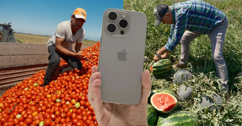 IPHONE 17 ALMAK İÇİN 30 TIR KARPUZ YA DA 2 TIR DOMATES SATMAK GEREKİYOR