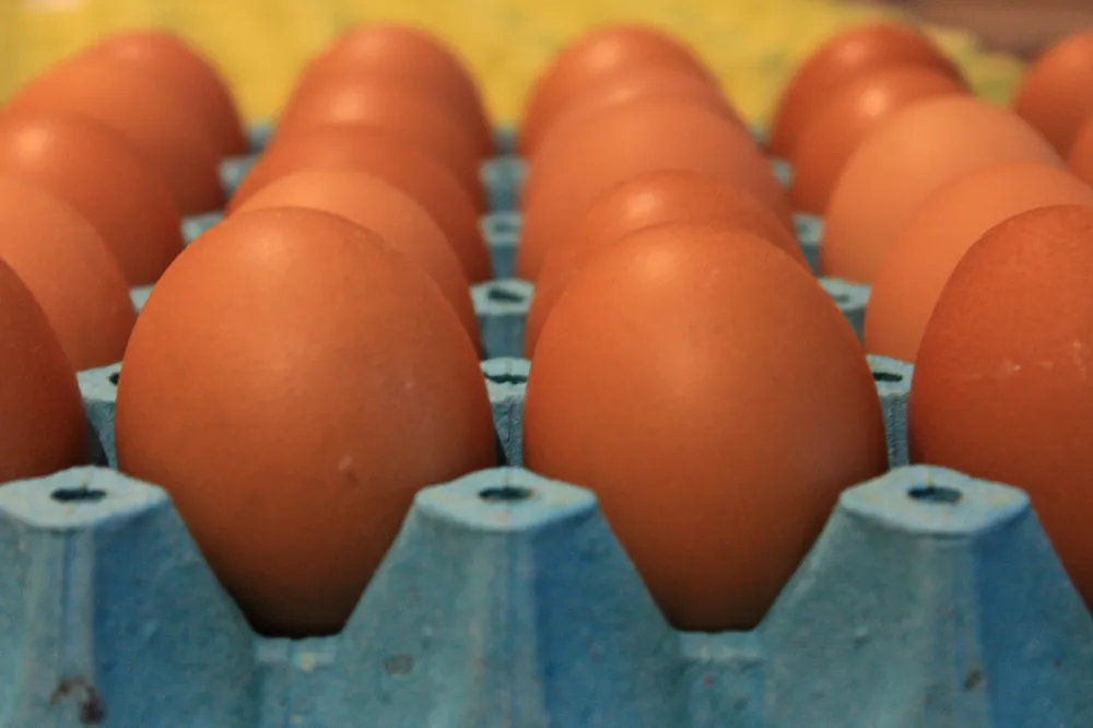 KABUĞUN İÇİNDEKİ SAĞLIK: YUMURTA