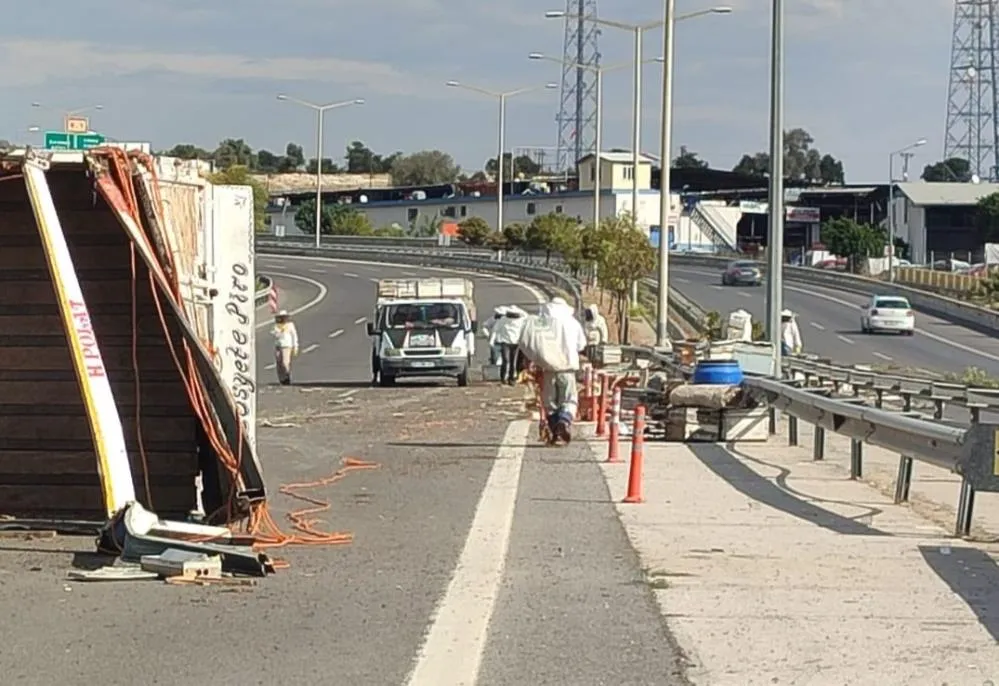 OTOYOL ÇIKIŞINDA KAMYON KAZA YAPTI, BİNLERCE ARI ÇEVREYE YAYILDI: 3 YARALI