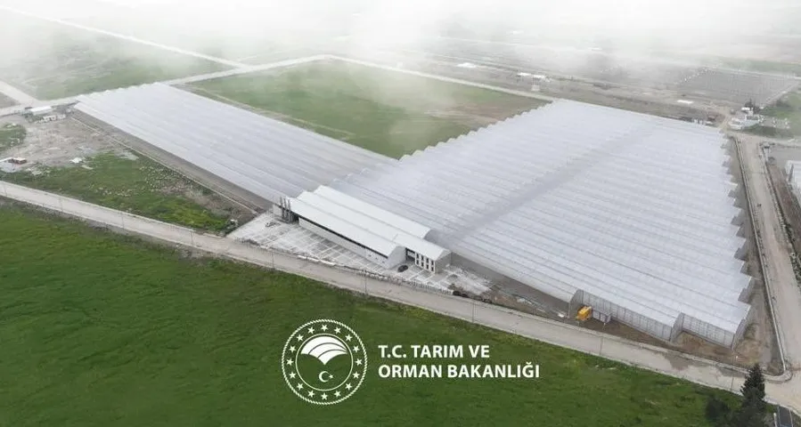 KADIN ELİYLE YEŞEREN TARIM: BAFRA SERA OTB, YILLIK 1,5 MİLYAR LİRALIK KATKI SUNACAK