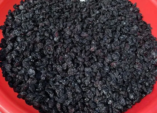 NİĞDE’DE KURU ÜZÜM ÜRETİCİLERİN YÜZÜNÜ GÜLDÜRDÜ