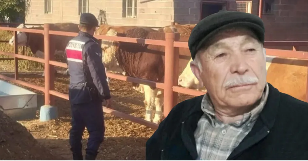 BOĞANIN SIKIŞTIRDIĞI YAŞLI ADAM HAYATINI KAYBETTİ