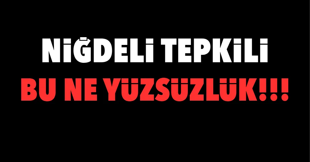 NİĞDELİYİ YILDIRDILAR
