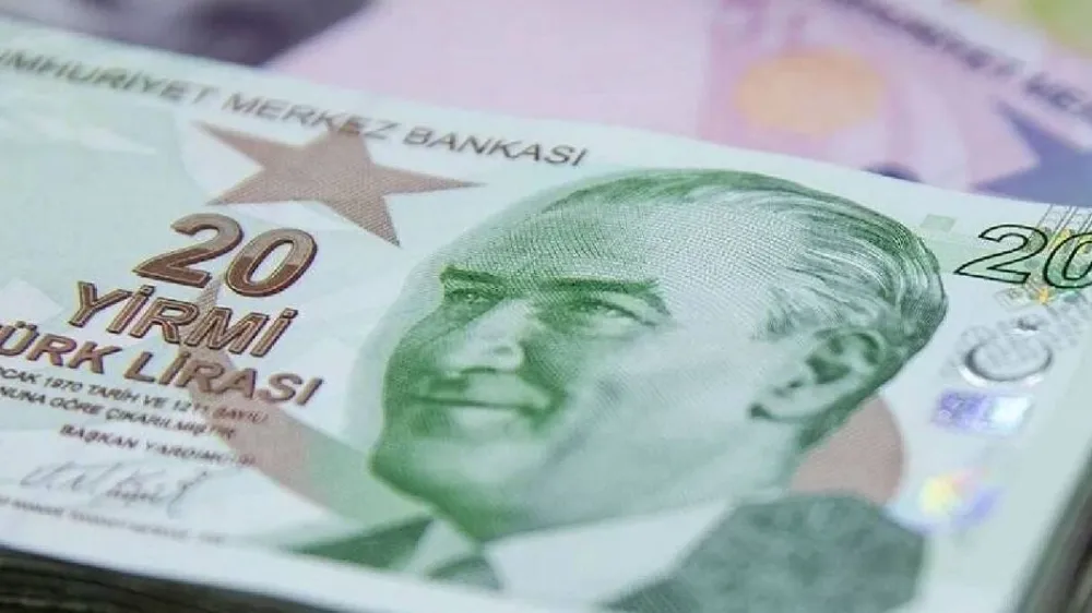 MERKEZ BANKASI DUYURDU! YENİ 20 TL