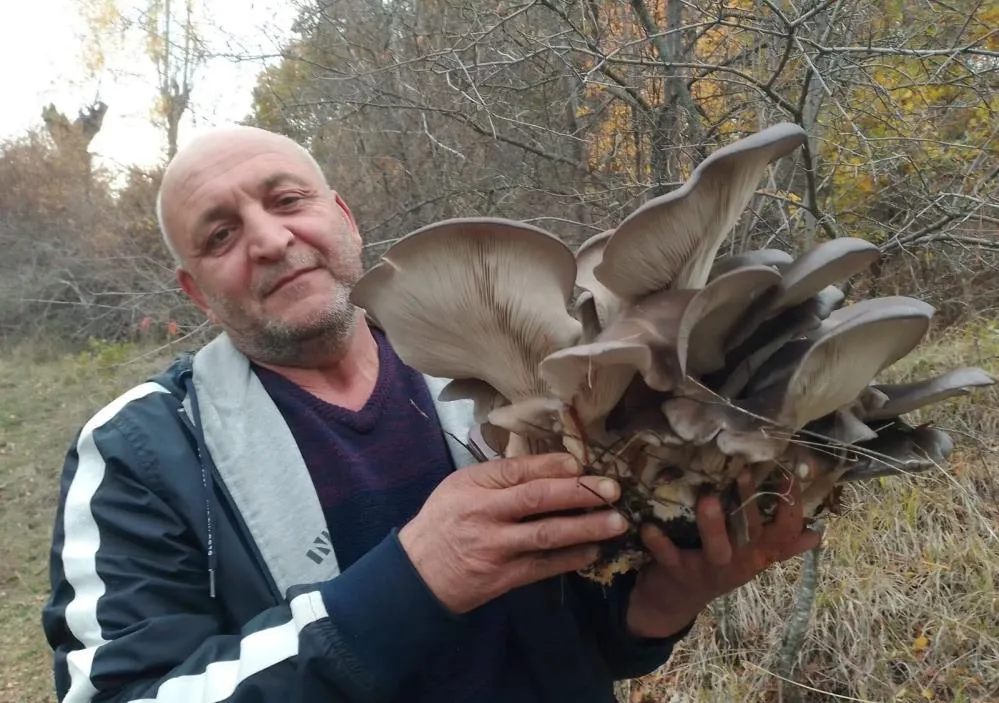 KANLICA MANTARI VATANDAŞLARIN İLGİ ODAĞI OLDU