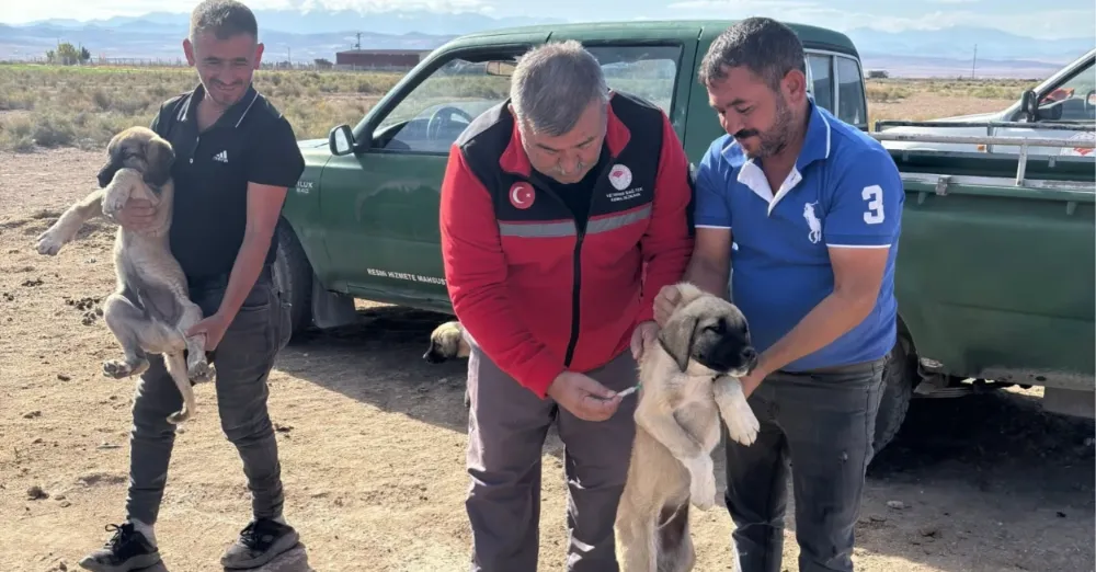 BOR’DA KUDUZ AŞISI ÇALIŞMALARI DEVAM EDİYOR