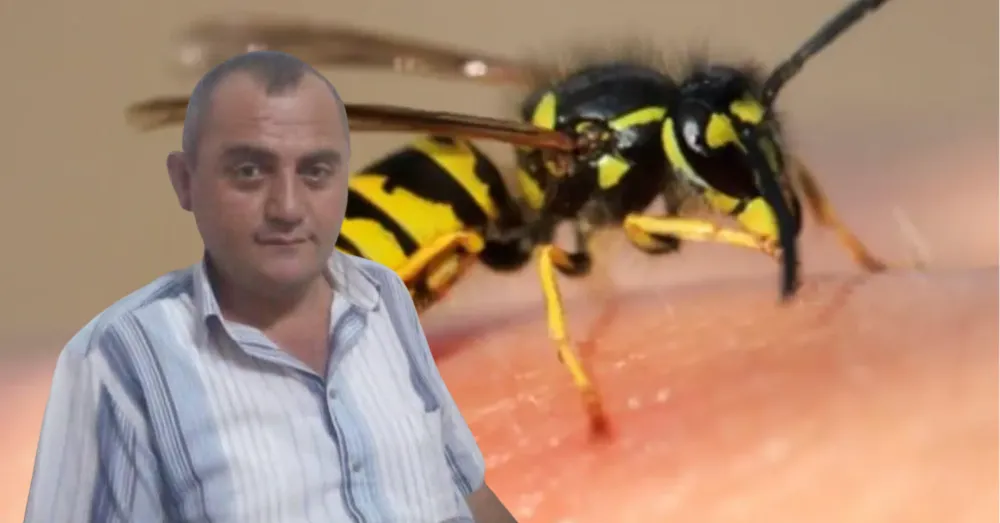 NİĞDE’DE ARI SOKMASI ÖLÜM GETİRDİ