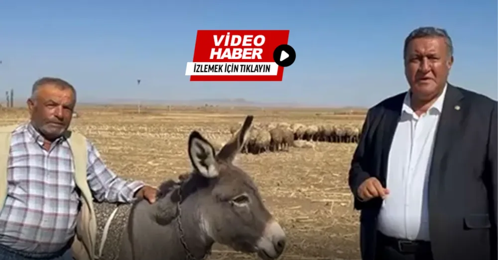 GÜRER: “10 MİLYON HAYVAN İTHAL EDİLDİ AMA ÜRETİCİ HÂLÂ AYAKTA KALAMIYOR”