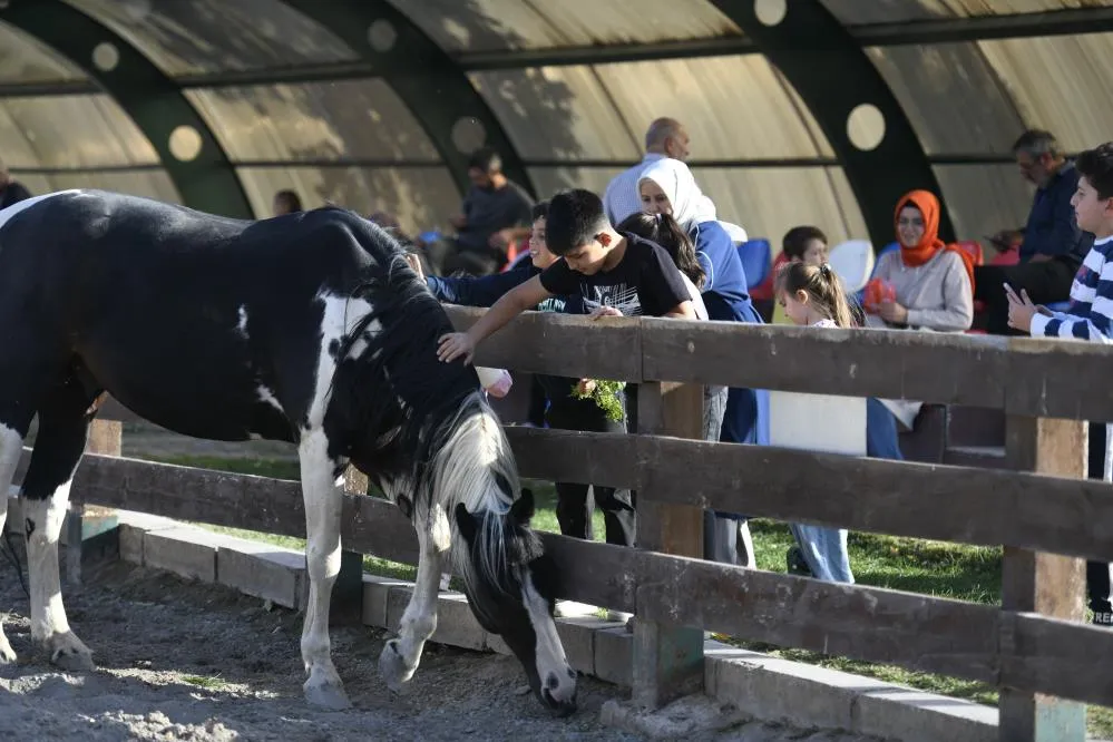 ÜCRETSİZ OLAN HAYVANAT BAHÇESİNE ZİYARETÇİ AKINI