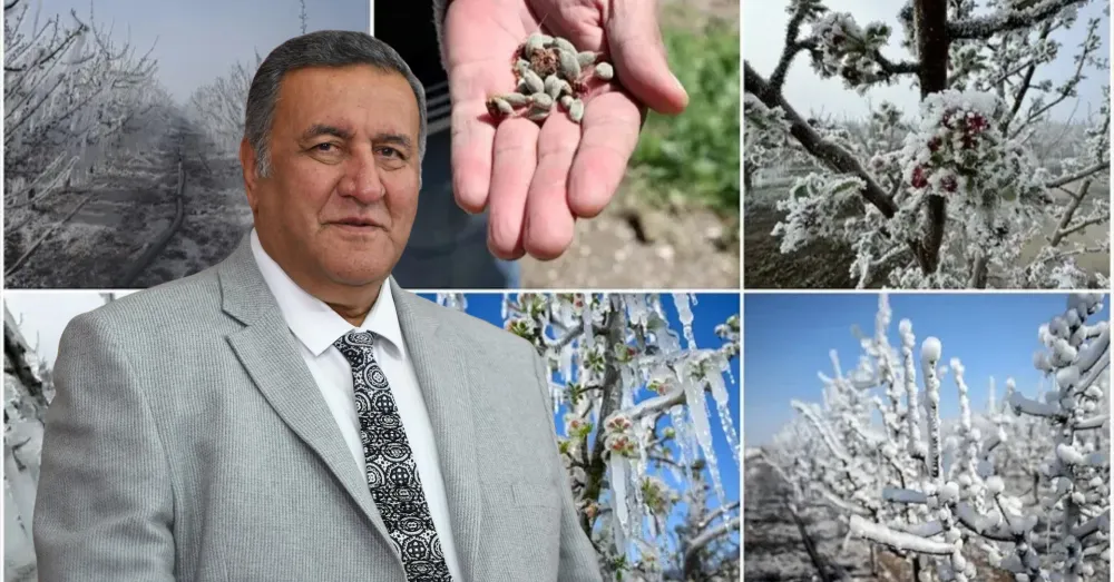 GÜRER: “ÇKS’Sİ OLSUN OLMASIN, HER ÇİFTÇİNİN ZARARI KARŞILANMALI”