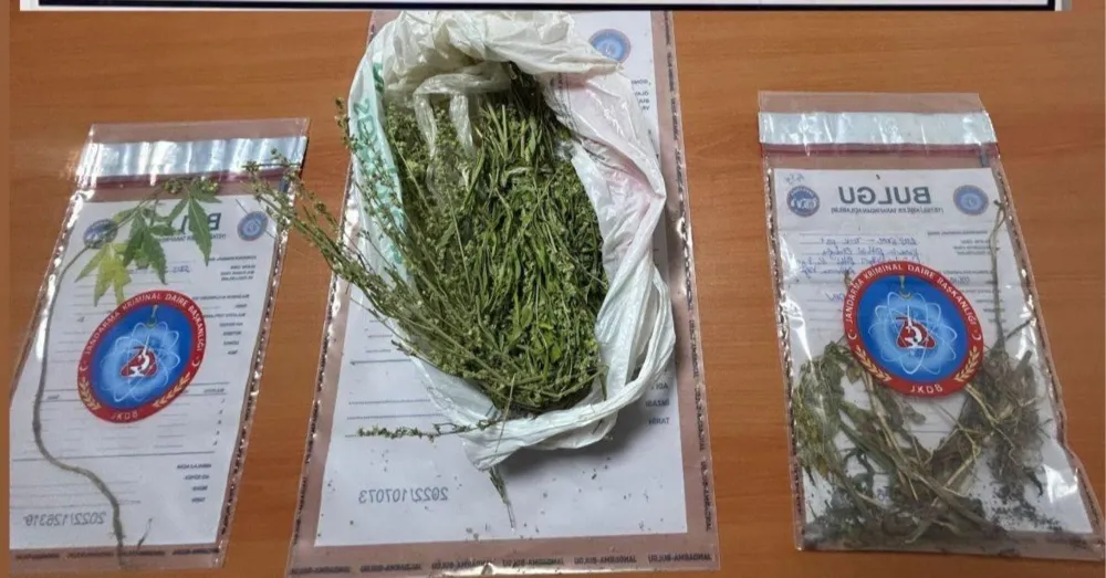 NİĞDE JANDARMADAN ZEHİR TACİRLERİNE OPERASYON: 3 ŞÜPHELİ GÖZALTINDA