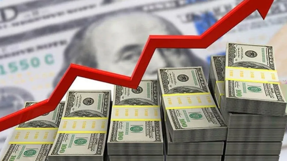 DOLAR ZENGİNİ İLLER BELLİ OLDU! İLK SIRADA NİĞDE’NİN KOMŞUSU VAR!