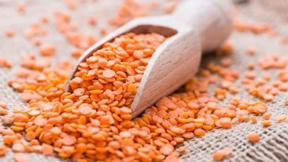 YANLIŞ HAZIRLANAN GIDALAR ÖLÜMCÜL OLABİLİR: İŞTE 10 TEHLİKELİ BESİN