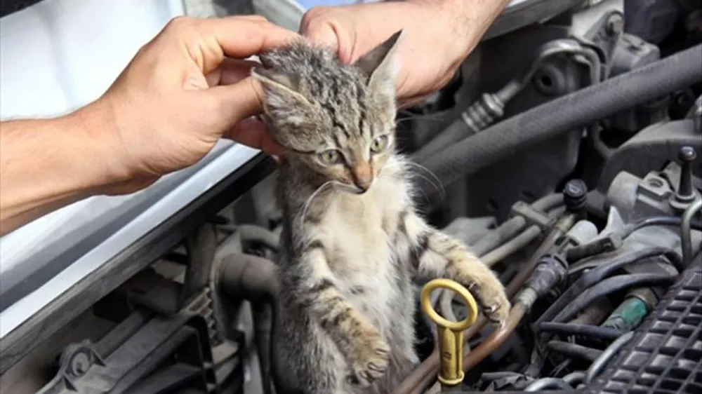 SÜRÜCÜLERE ÖNEMLİ HATIRLATMA!