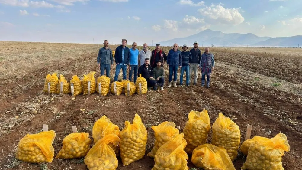 YERLİ PATATESİN GÜCÜ KAZIMKARABEKİR’DE SAHADA TEST EDİLDİ: HASAT BAŞARIYLA TAMAMLANDI