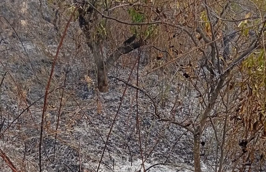 YAŞLI ADAM, BAHÇESİNİ TEMİZLERKEN YANGINDA HAYATINI KAYBETTİ