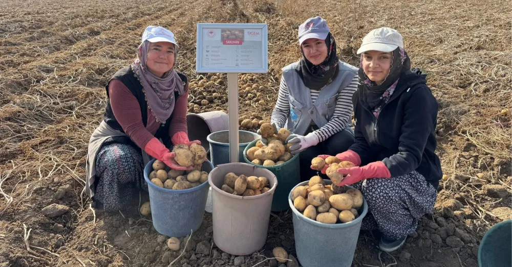 NİĞŞAH VE SARUHAN TAM NOT ALDI!