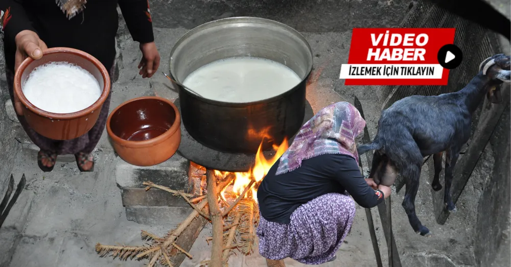 HOROZ KÖYÜ’NÜN SIRRI: AYLARCA BOZULMADAN DAYANAN KEÇİ SÜTÜ YOĞURDU