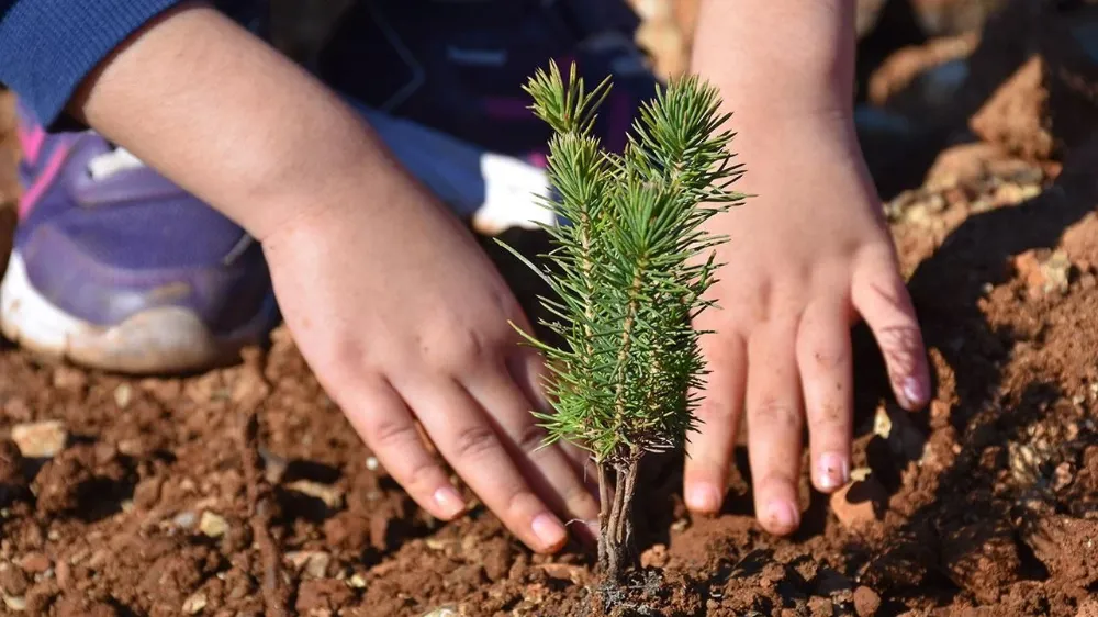 YEŞİL VATAN İÇİN NİĞDE’DEN DESTEK ARTIYOR