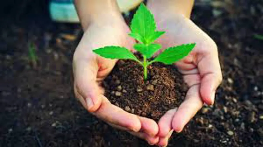 YEŞİL VATAN’A NEFES OL: NİĞDE’DE 11 KASIM’DA FİDANLAR TOPRAKLA BULUŞUYOR 