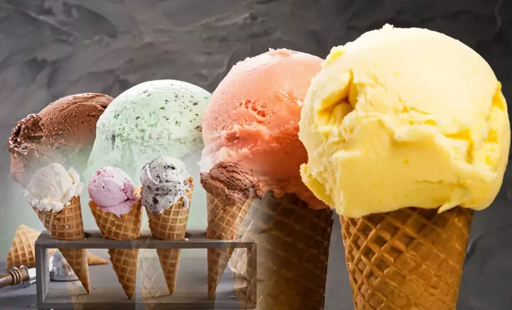 ÇAMARDI DONDURMA FUARI KAPILARINI AÇIYOR