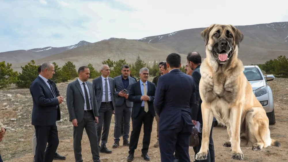 NİĞDE’DE SOKAK HAYVANLARI İÇİN YAŞAM ALANI KURULUYOR