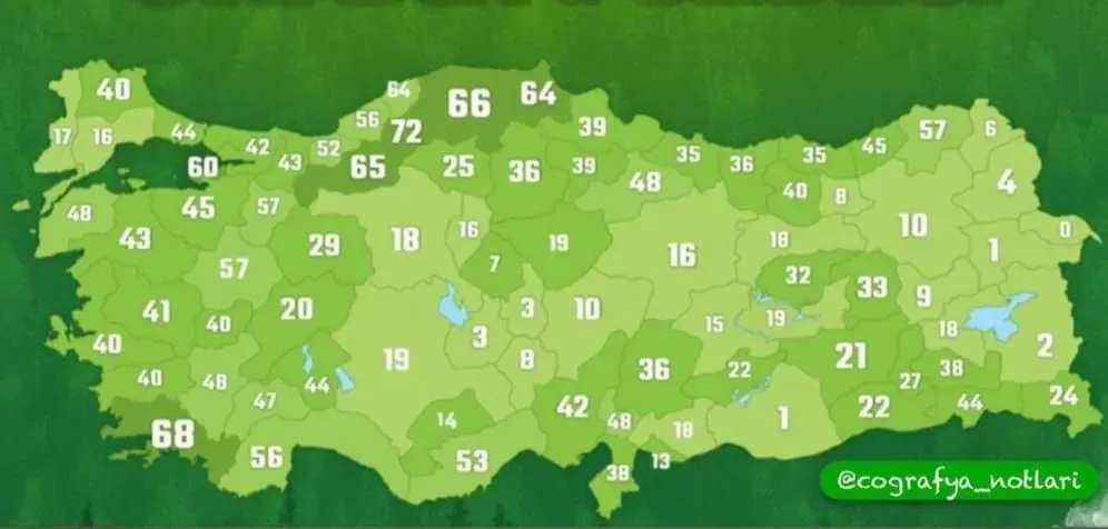 NİĞDE ORMAN FAKİRİ!