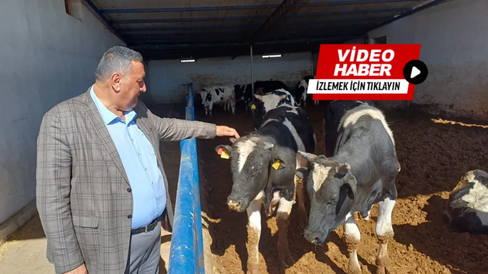 NİĞDELİ BESİCİ “BÜYÜKBAŞ HİSSE BEDELİ 35 BİN TL’Yİ AŞTI”