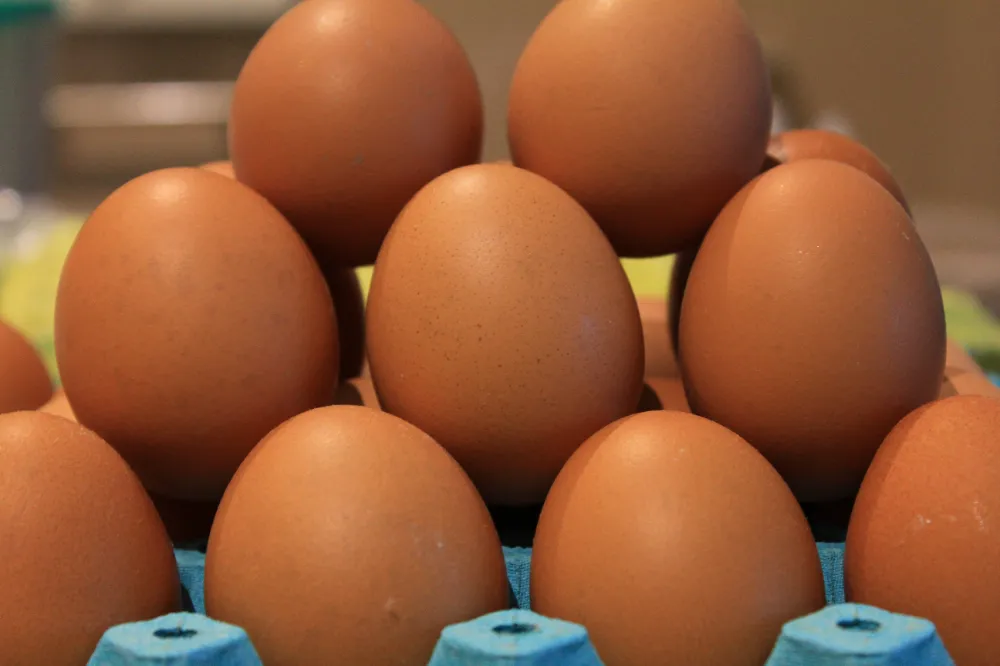 YUMURTADA FİYATLAR DÜŞÜNCE İHRACATTA FON KESİNTİSİNİN KALDIRILMASI İSTENDİ