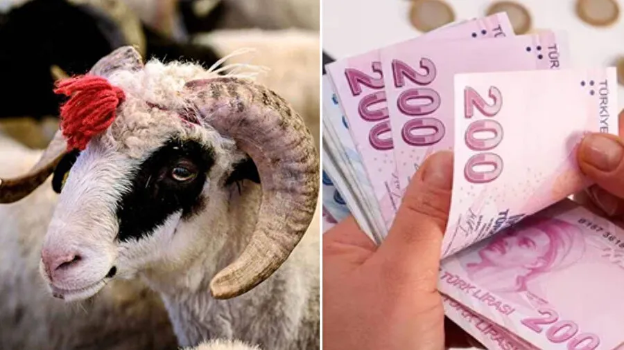 KURBAN BAYRAMI İKRAMİYESİ HESAPLARA NE ZAMAN YATACAK?