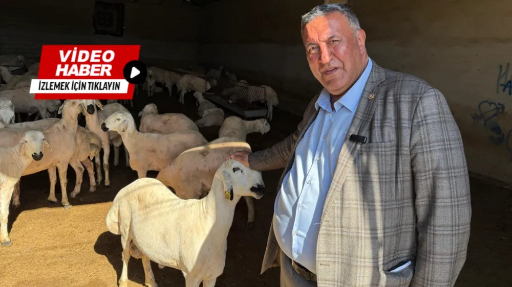 GÜRER: KURBANLIK SATIŞI HER YIL DÜŞÜYOR