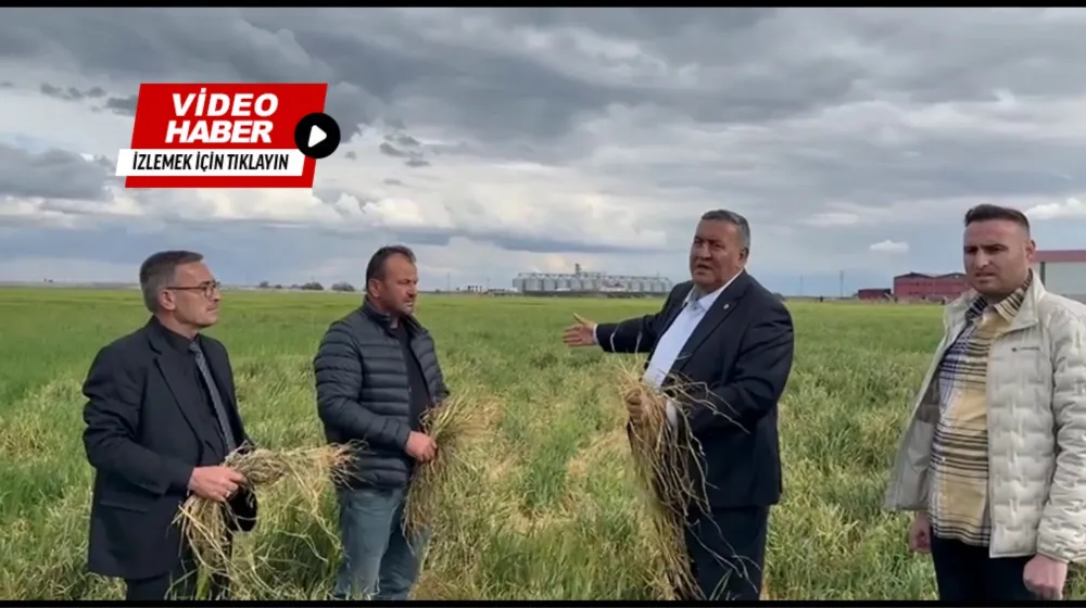 GÜRER: ZİRAİ DON FELAKETİ İLE HERKESİM DARBE YEDİ