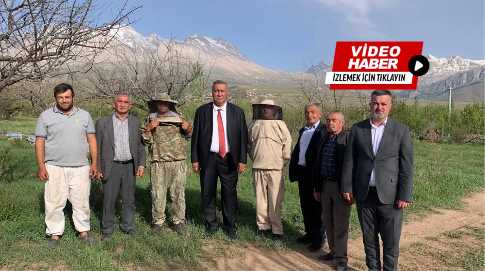 BALIN DA TADI KAÇTI! SAHTE BAL, ARICILIĞI VURUYOR