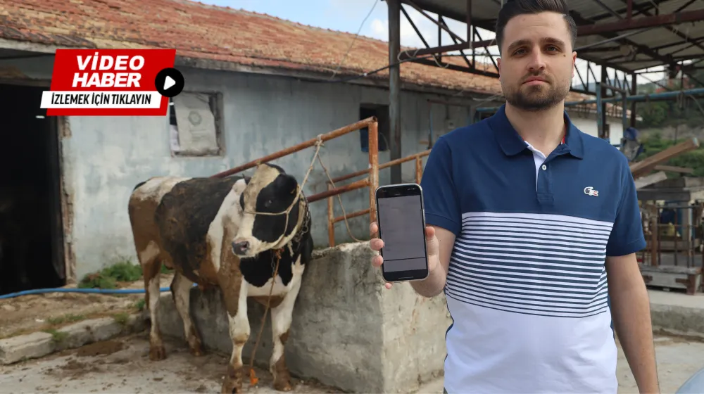 SOSYAL MEDYADA GÖRDÜĞÜ KURBANLIK DANALARI ALMAK İSTERKEN 200 BİN TL DOLANDIRILDI