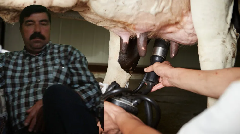 SÜT SAĞARKEN ELEKTRİK AKIMINA KAPILARAK HAYATINI KAYBETTİ