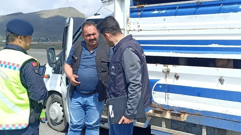 KURBAN BAYRAMI ÖNCESİ HAYVAN HAREKETLİLİĞİNE SIKI DENETİM