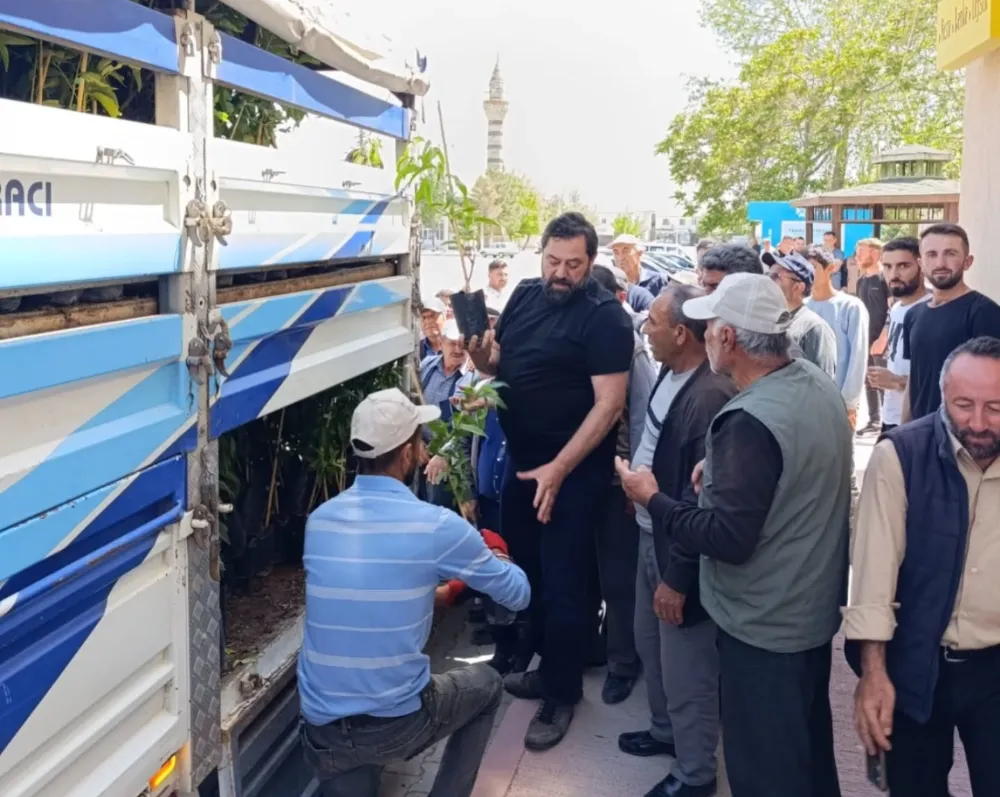 ÇUKURKUYU’DA YEŞEREN UMUTLAR: HER HANEYE ÜCRETSİZ MEYVE FİDANI