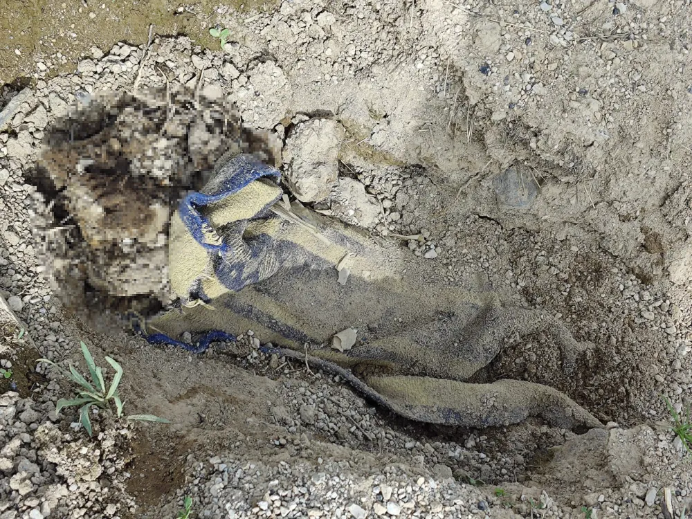 ÇOBAN, BOŞ ARAZİDE BATTANİYEYE SARILARAK GÖMÜLMÜŞ ERKEK CESEDİ BULDU