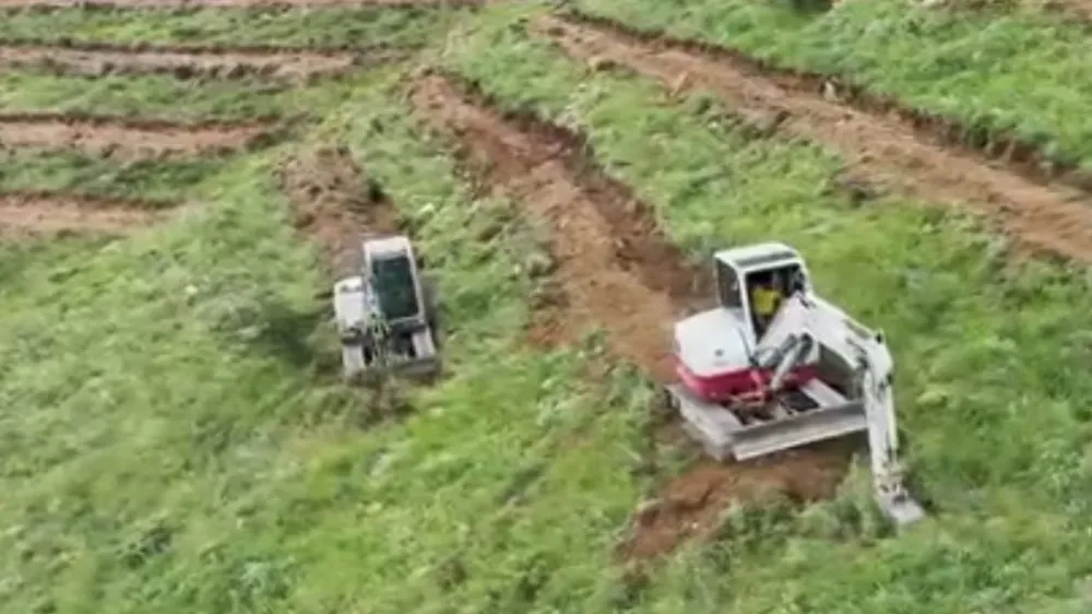 ÇAMARDI’DA 65 BİN FİDAN DİKİMİ YAPILDI