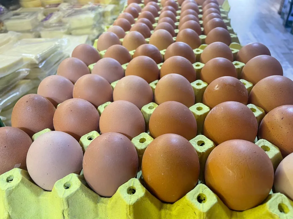 YUMURTA KABUĞU DEYİP GEÇMEYİN SANAYİDE ÇOK DEĞERLİ