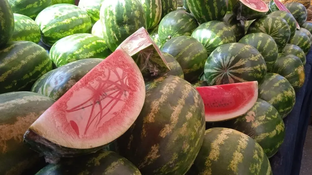 NİĞDELİLER: TÜM KARPUZU UNUTALI ÇOK OLDU!