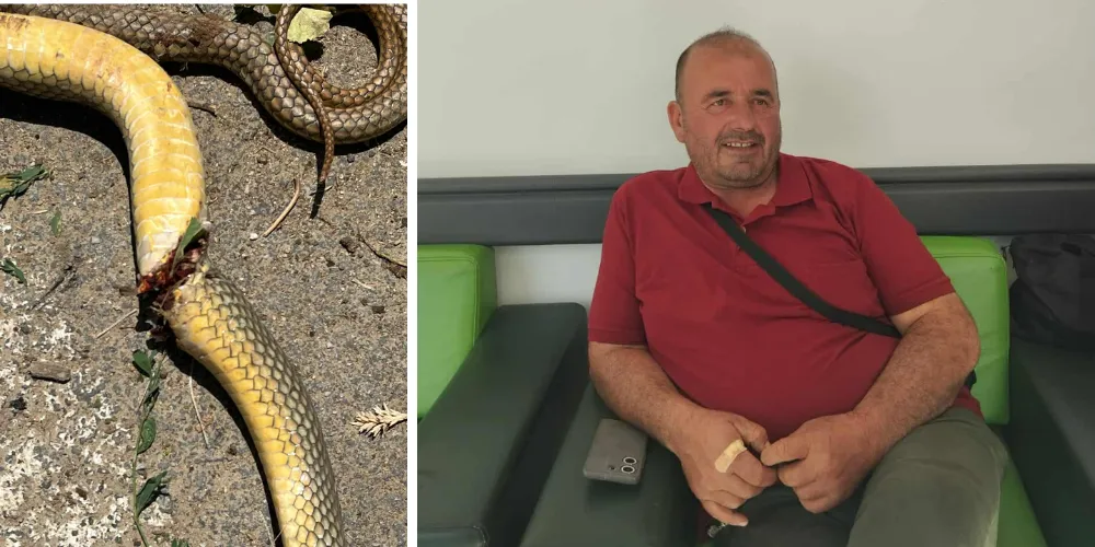 HAYVANLARINI KORURKEN CANINDAN OLUYORDU ! 