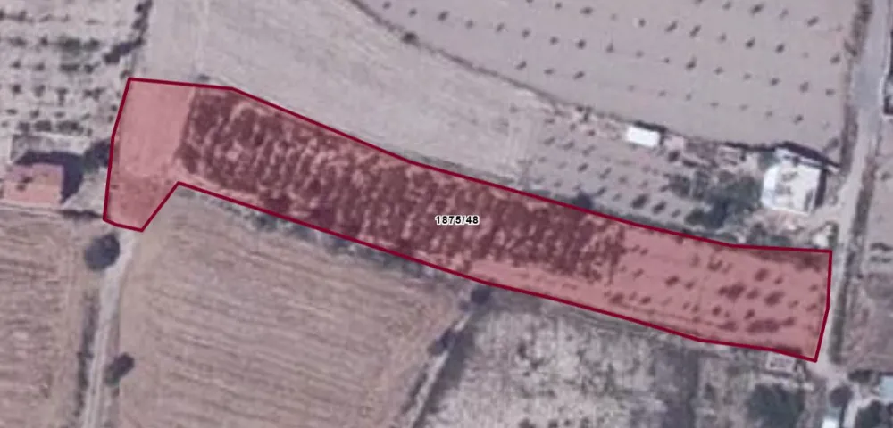 BOR’DA 3.344 METREKARE TARLA MAHKEMEDEN SATIŞA ÇIKARILDI