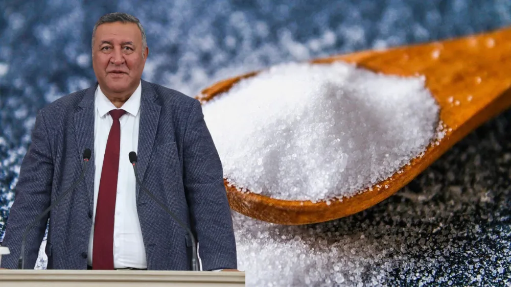 GÜRER: “ÇİN TUZU GIDADA YASAKLANSIN” 