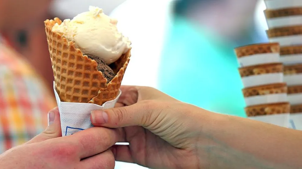 ÇAMARDI DONDURMA FUARINA HAZIRLANIYOR