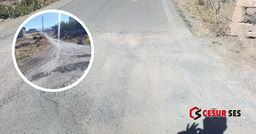 ŞEYHLER KÖYÜ’NDE YOL İSYANI: BU YOLUN VEBALİNİ KİM ÜSTLENECEK?