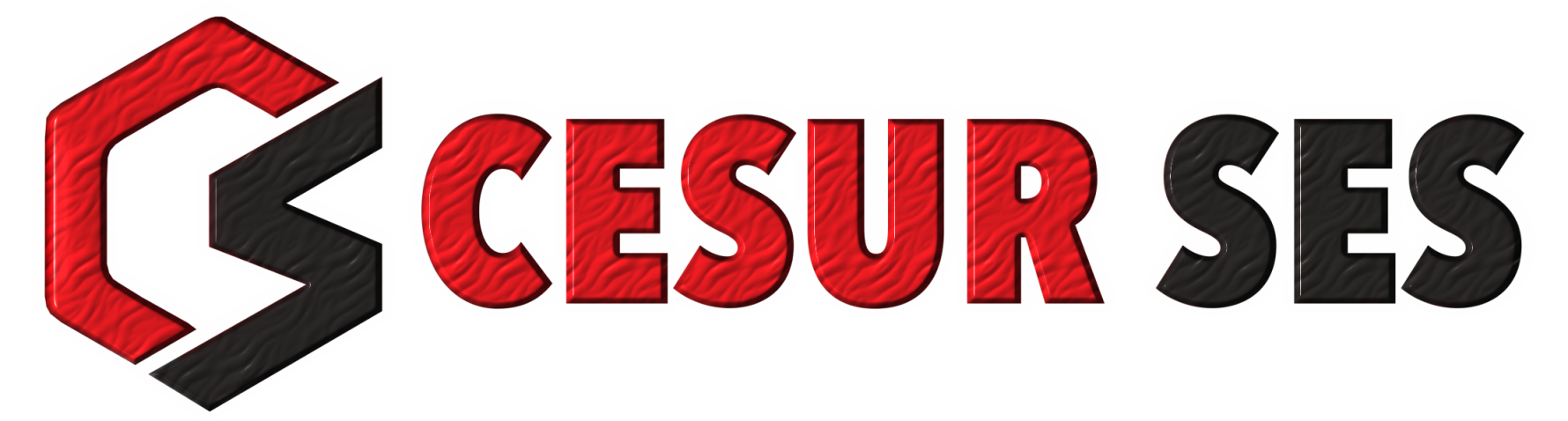 CESUR SES